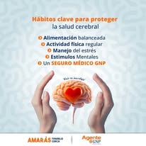 Hábitos para proteger la salud cerebral