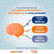 Principales padecimientos neurológicos